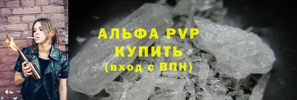 ECSTASY Богородицк