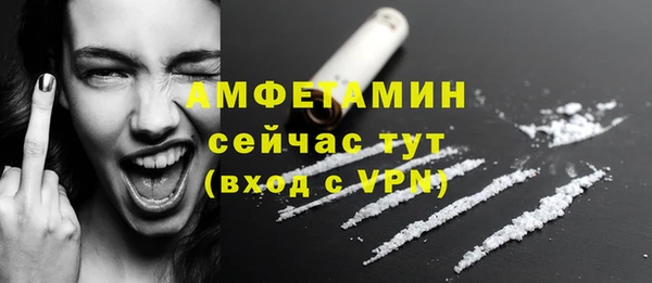 ECSTASY Богородицк