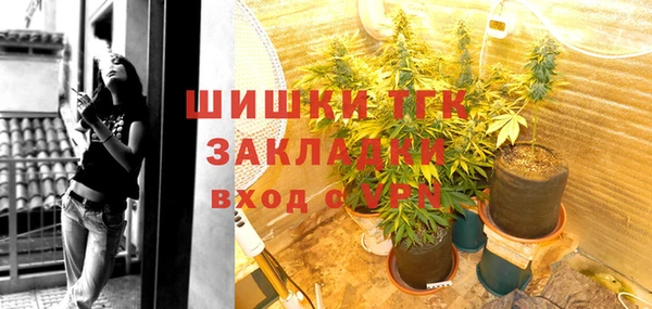 ECSTASY Богородицк