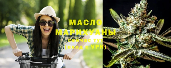 ECSTASY Богородицк