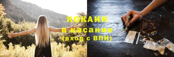 ECSTASY Богородицк