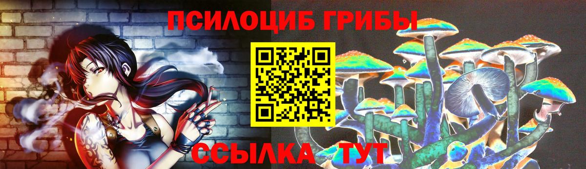Наро-Фоминск  Галлюциногенные грибы Psilocybe  как найти наркотики  Вход с VPN 